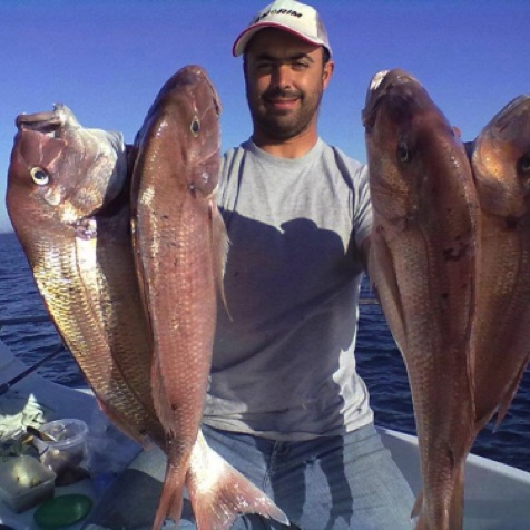 Mario with some excellent Algarve red snappers Mario with some excellent Algarve red snappers